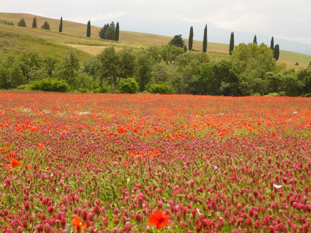 Agriturismo Casalpiano Pienza Buitenkant foto