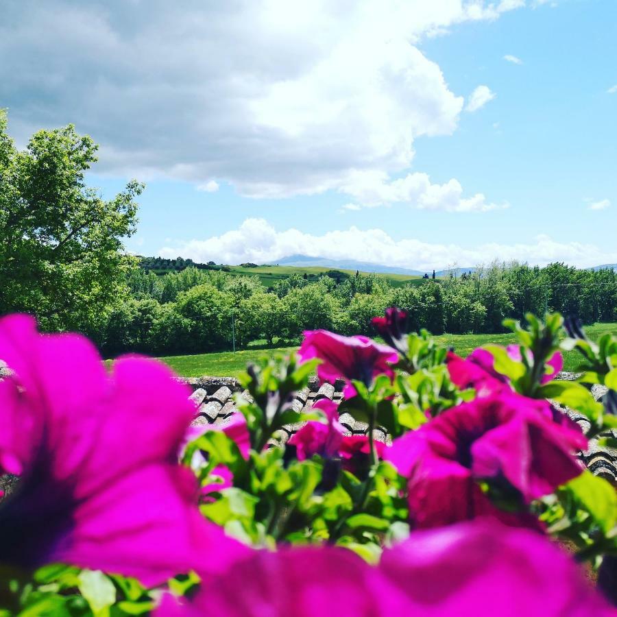 Agriturismo Casalpiano Pienza Buitenkant foto